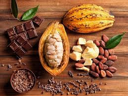 • Cacao - Chocos - Coberturas